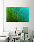 Obraz Štruktúra listu 